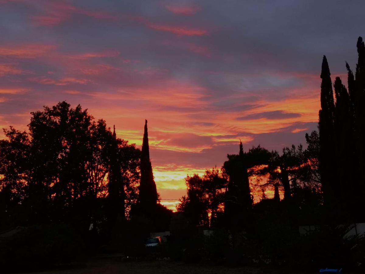 Vintage Provence 2*