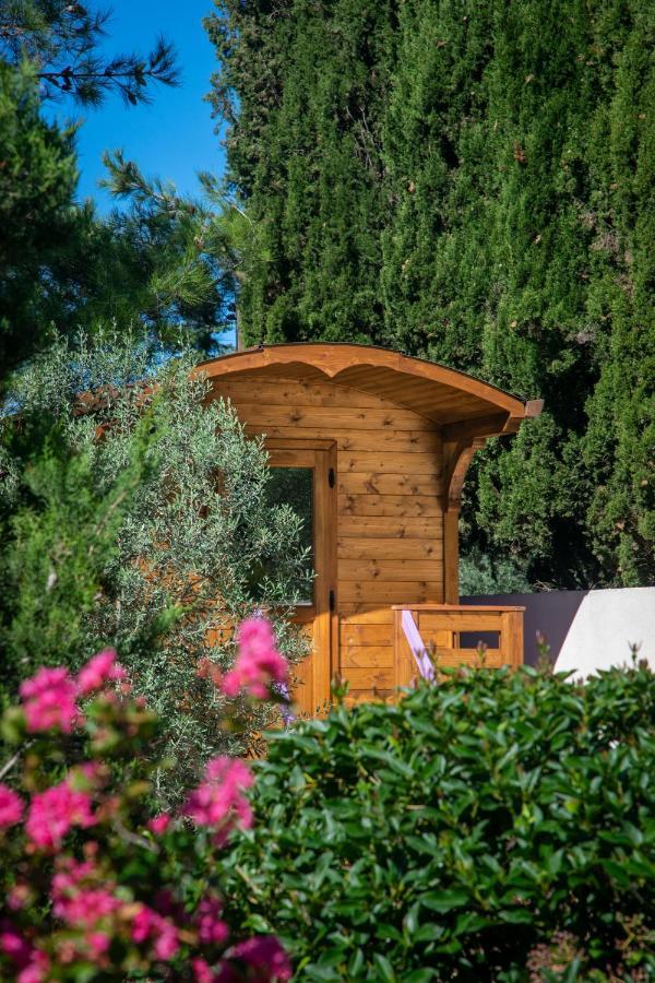 Vintage Provence 2*